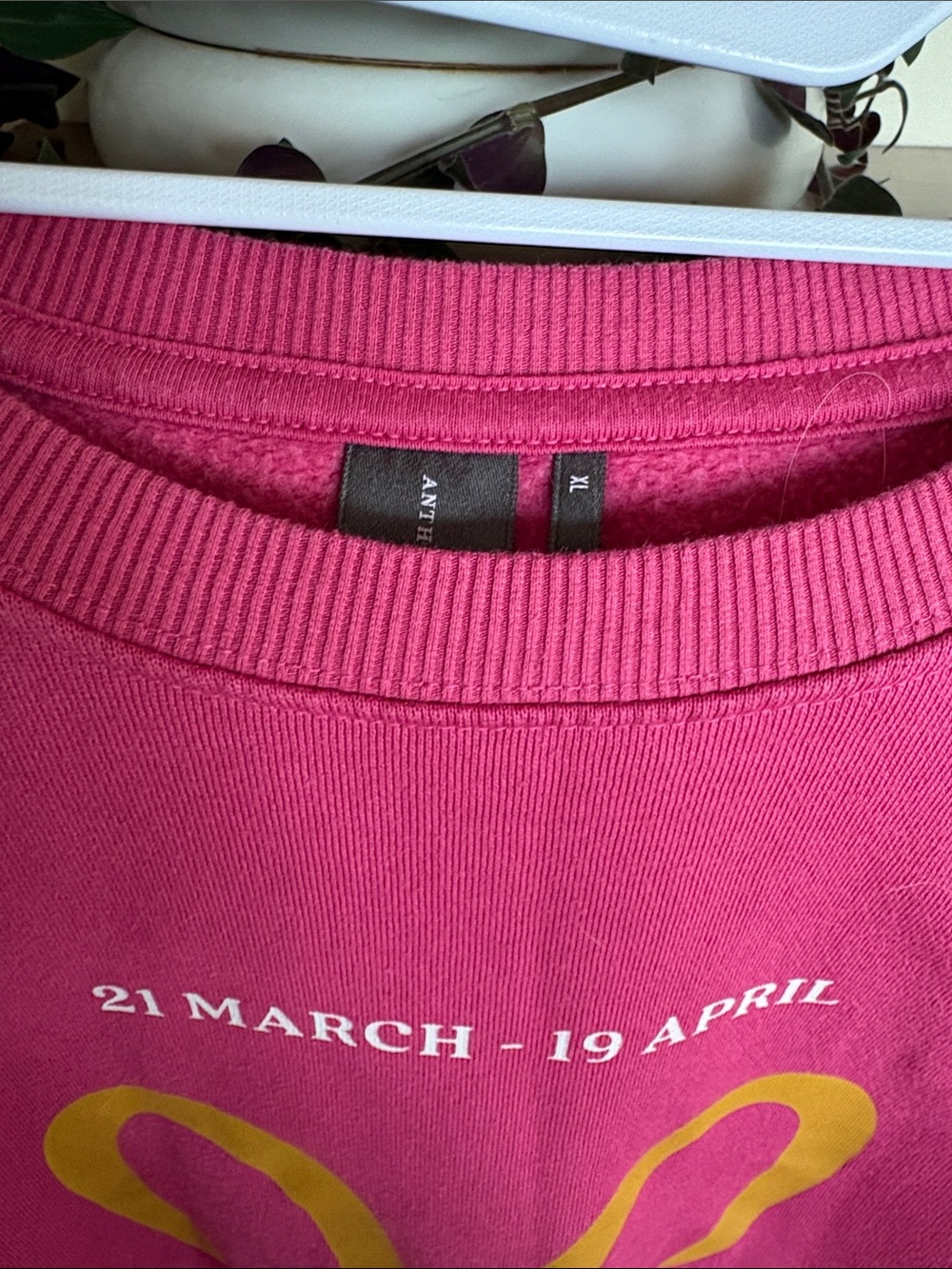 Anthropologie Aries Zodiac Sweatshirt - Picture 7 of 7